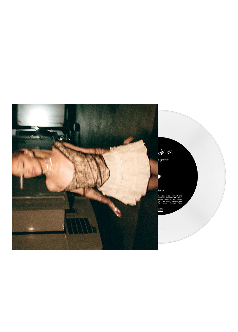 dandelion 7"
